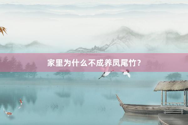家里为什么不成养凤尾竹？